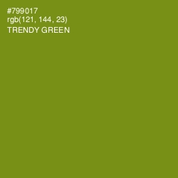 #799017 - Trendy Green Color Image